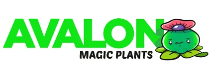 Avalon Magic Plants Rabattcodes und Angebote