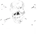 FC ST. Pauli Rabattcodes - 75% Rabatt